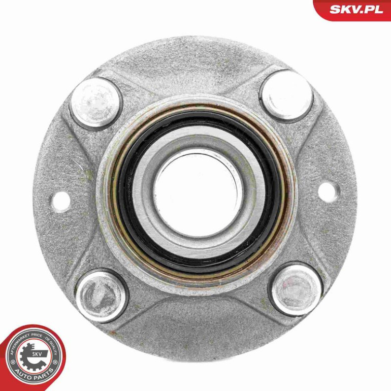 ESEN SKV Radlagersatz 29SKV619