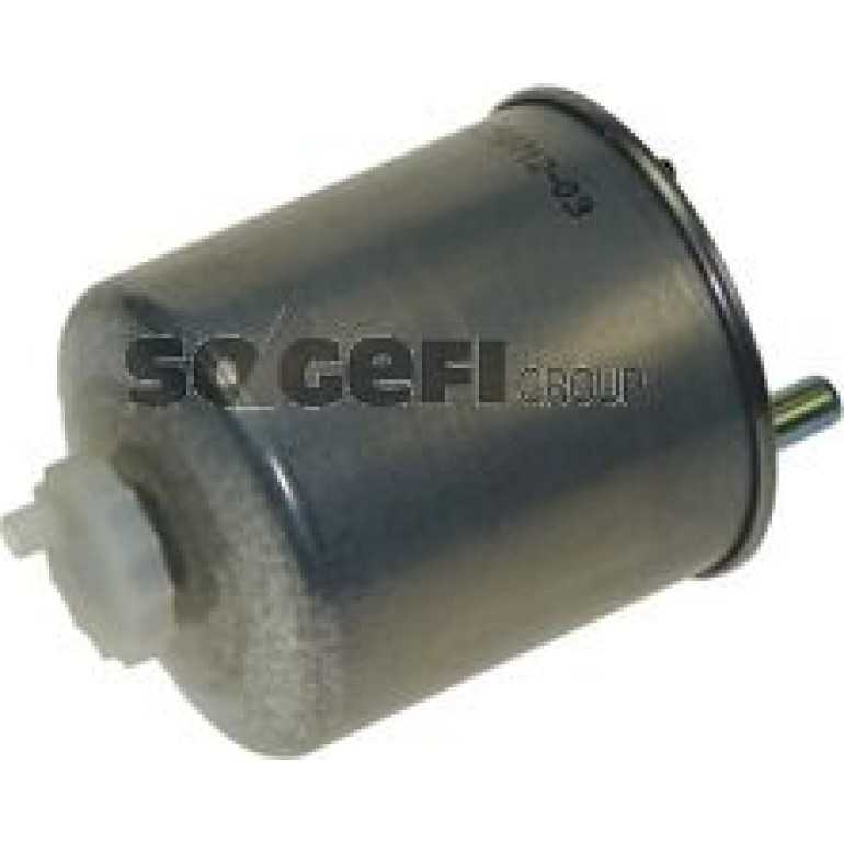 FRAM Kraftstofffilter PS10396 FRAM Kraftstofffilter PS10396