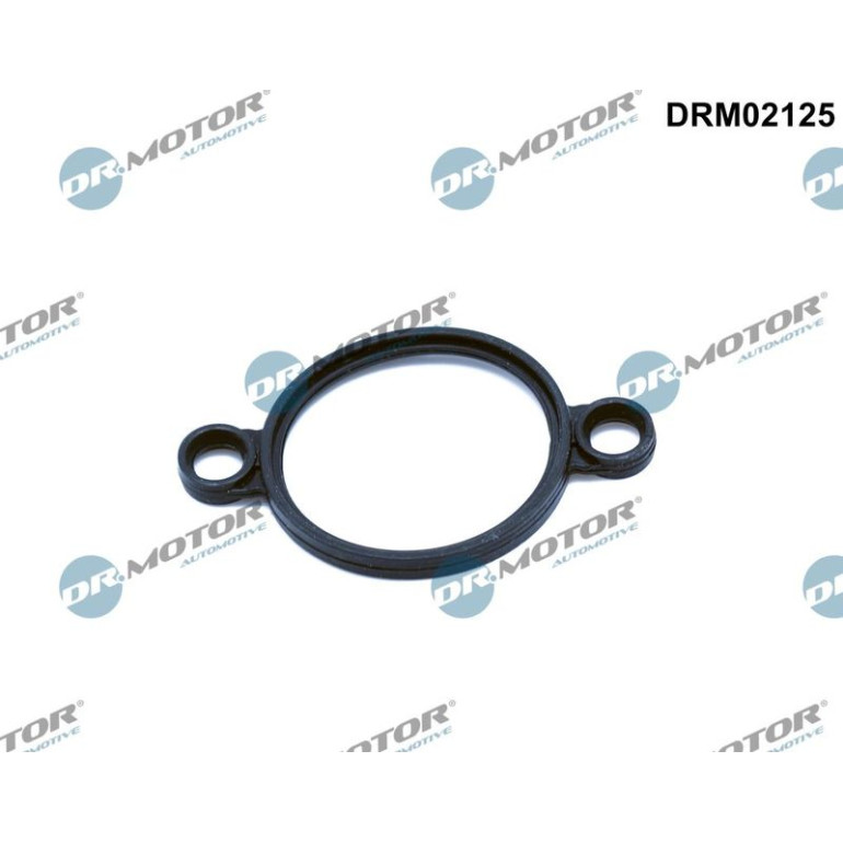 Dichtung, Stellelement (Exzenterwelle) DRM02125 Dichtung, Stellelement (Exzenterwelle) DRM02125
