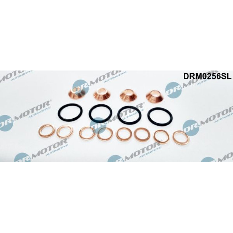 Einspritzdüse Dichtungssatz DRM0256SL