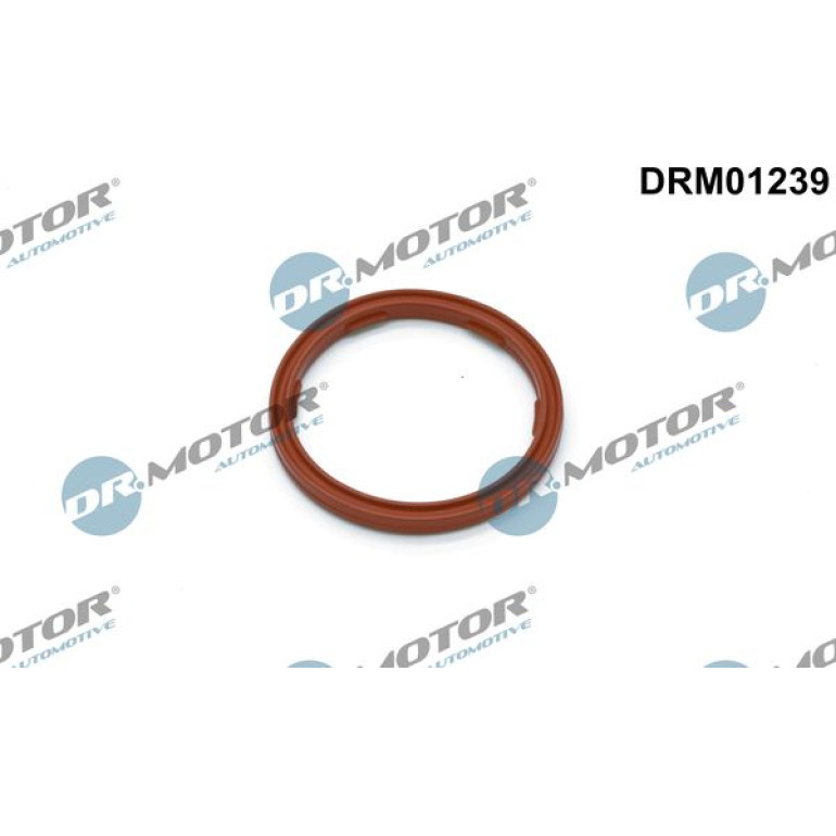 Dichtring, Motorstandsensor DRM01239 Dichtring, Motorstandsensor DRM01239