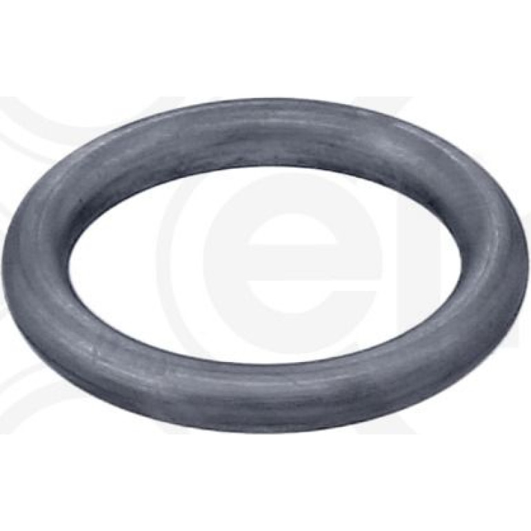 Dichtring 569.390 Dichtring 569.390