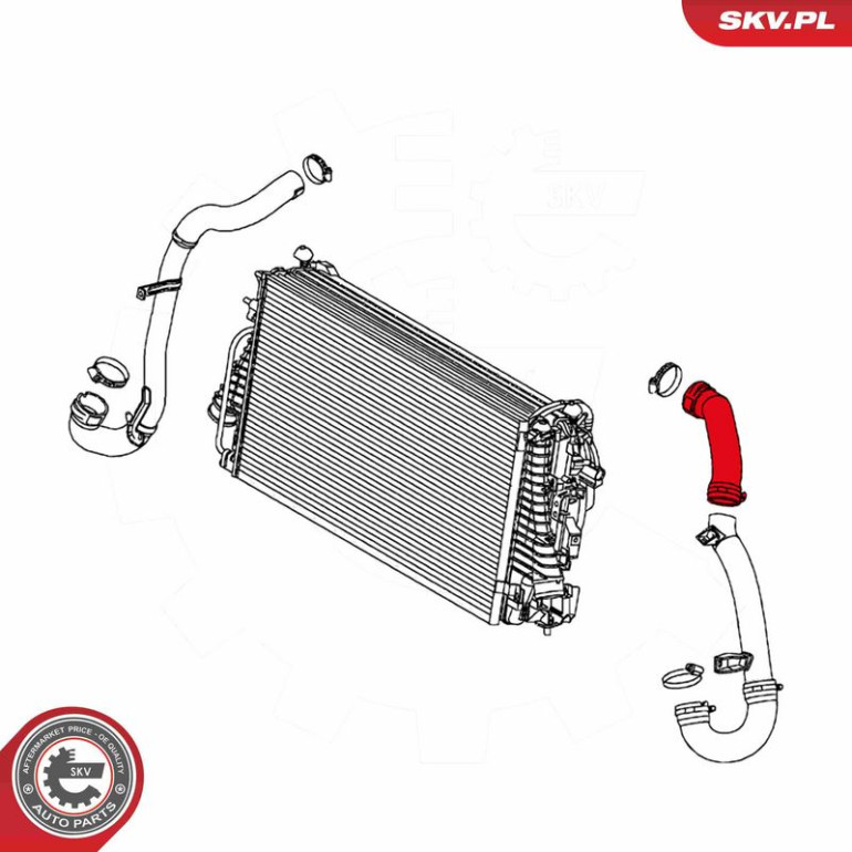 SKV GERMANY Luftschlauch 24SKV131