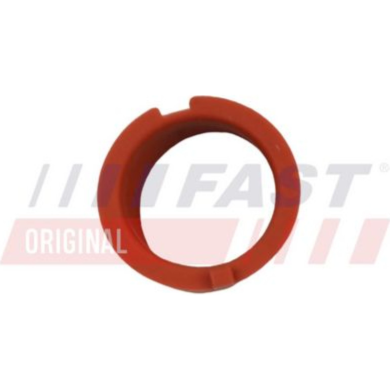 FAST Dichtung, Lader FT48814 FAST Dichtung, Lader FT48814