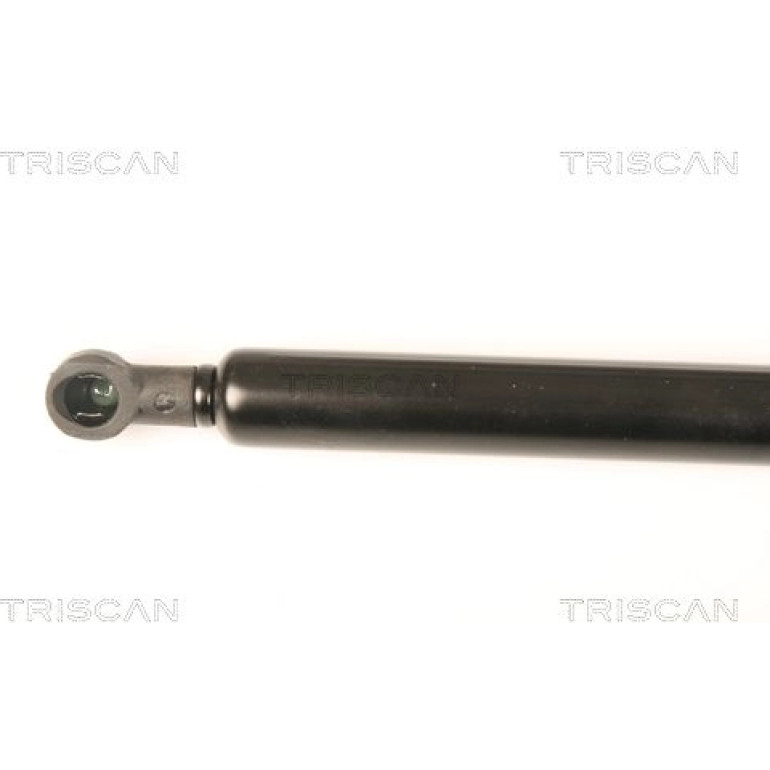 Gasfeder, Koffer-/Laderaum 871025245