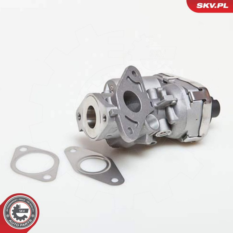 SKV GERMANY AGR-Ventil 14SKV038 SKV GERMANY AGR-Ventil 14SKV038