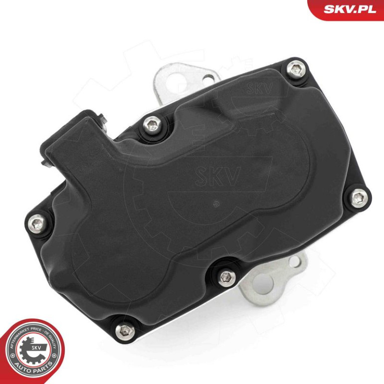 ESEN SKV AGR-Ventil 14SKV267 ESEN SKV AGR-Ventil 14SKV267