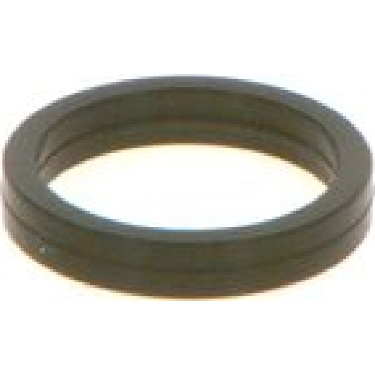 O-Ring F 00V C38 100 O-Ring F 00V C38 100