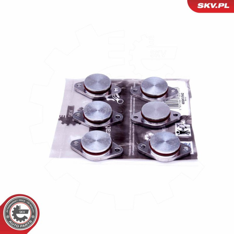 ESEN SKV Reparatursatz, Saugrohrmodul 49SKV542 ESEN SKV Reparatursatz, Saugrohrmodul 49SKV542