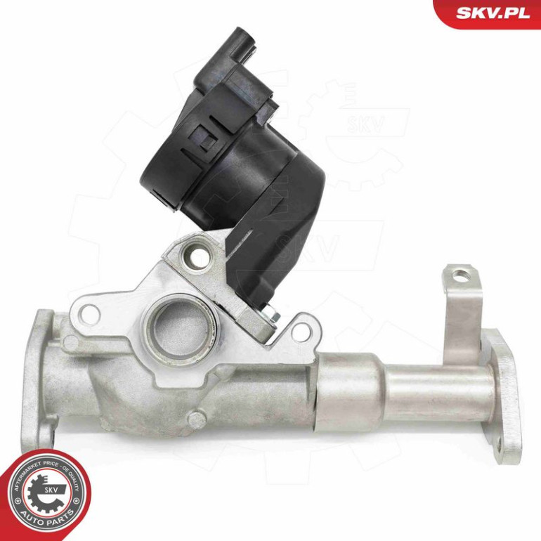 ESEN SKV AGR-Ventil 14SKV287 ESEN SKV AGR-Ventil 14SKV287