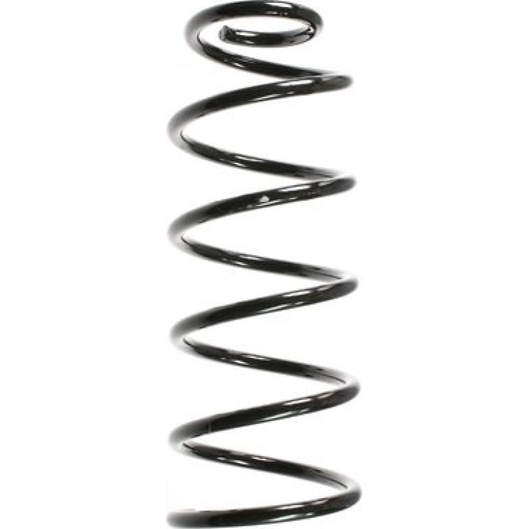 SPIDAN Fahrwerksfeder 56646 SPIDAN Fahrwerksfeder 56646
