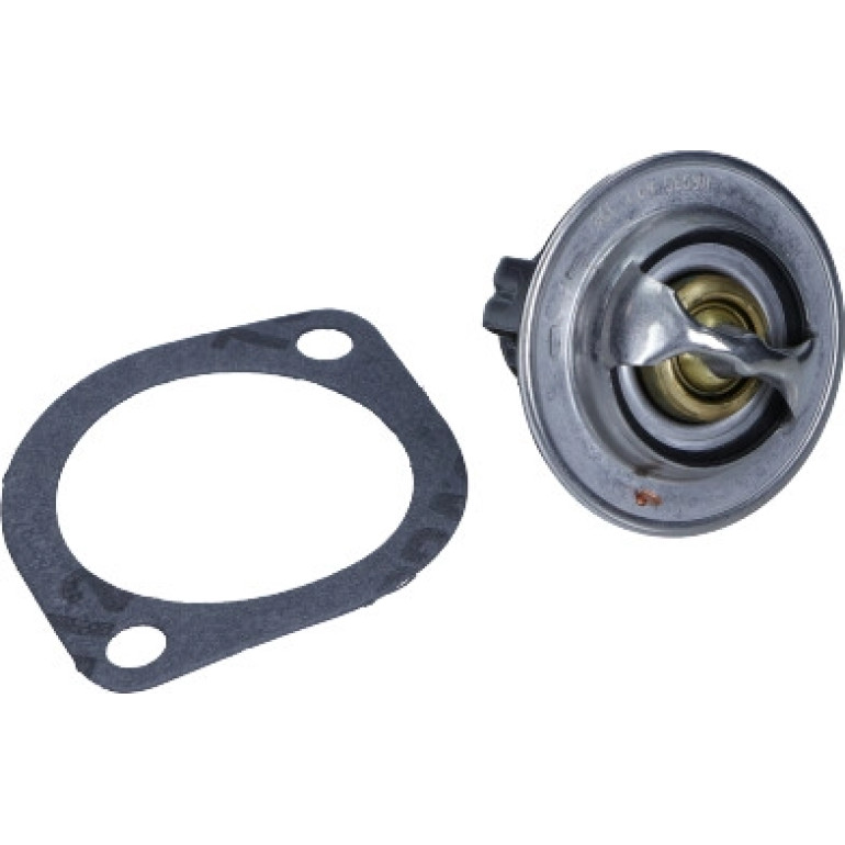 Thermostateinsatz mit Dichtung TX 179 89D