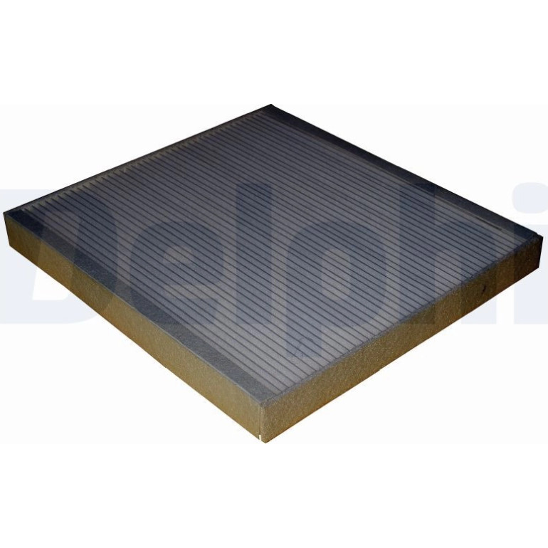 DELPHI Innenraumfilter TSP0325244 DELPHI Innenraumfilter TSP0325244