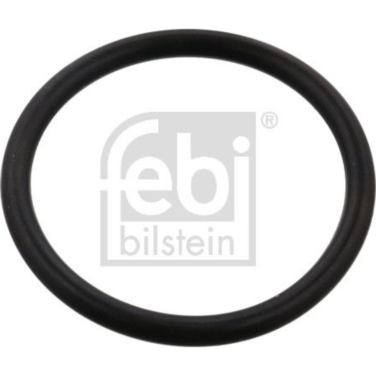 Dichtring 102594 Dichtring 102594