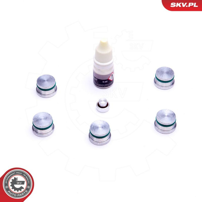 ESEN SKV Reparatursatz, Saugrohrmodul 49SKV537 ESEN SKV Reparatursatz, Saugrohrmodul 49SKV537