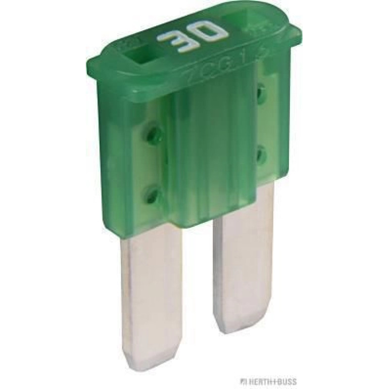 Micro2-Flachstecksich. 30A 1St 50295651 Micro2-Flachstecksich. 30A 1St 50295651