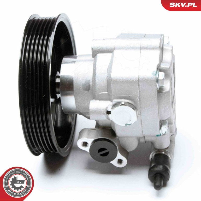 SKV GERMANY Hydraulikpumpe 10SKV183 SKV GERMANY Hydraulikpumpe 10SKV183