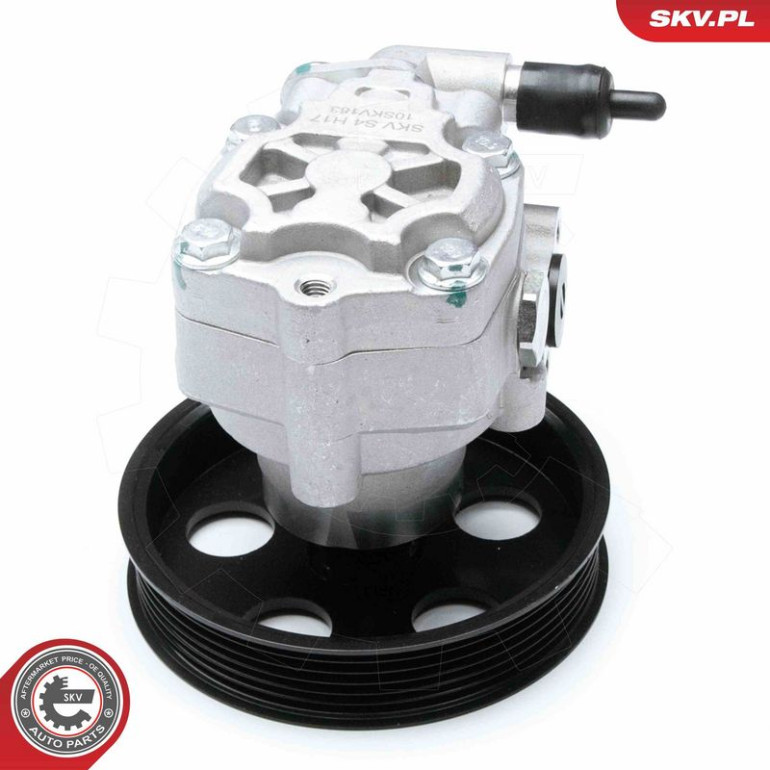SKV GERMANY Hydraulikpumpe 10SKV183 SKV GERMANY Hydraulikpumpe 10SKV183