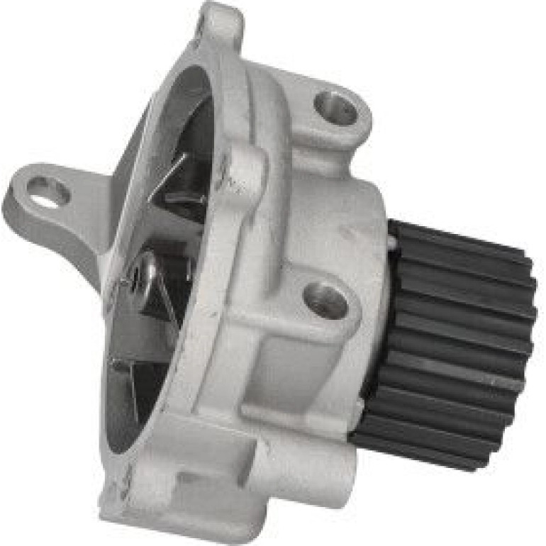 PA 973 Wasserpumpe MW-1539 PA 973 Wasserpumpe MW-1539