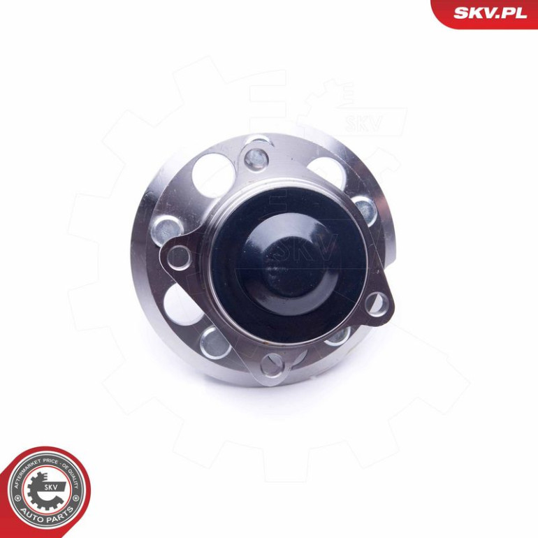 ESEN SKV Radlagersatz 29SKV243 ESEN SKV Radlagersatz 29SKV243
