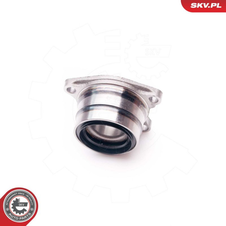 SKV GERMANY Radlager 29SKV123 SKV GERMANY Radlager 29SKV123