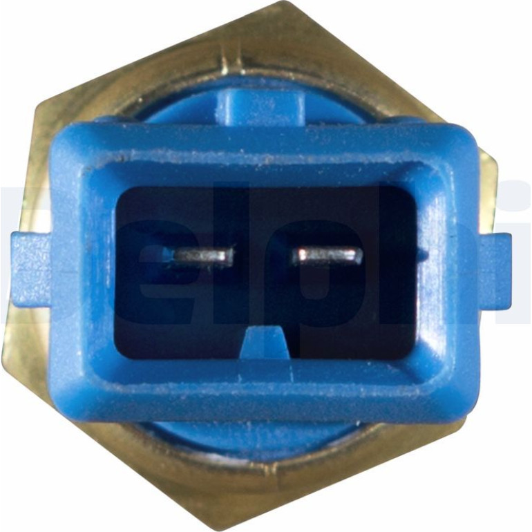 DELPHI Temperatursensor TS10250
