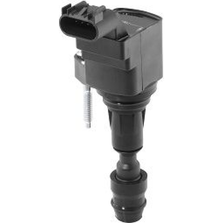 BorgWarner (BERU) Zündspule ZSE212