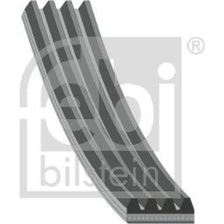 FEBI BILSTEIN Rillenriemen 28789 FEBI BILSTEIN Rillenriemen 28789