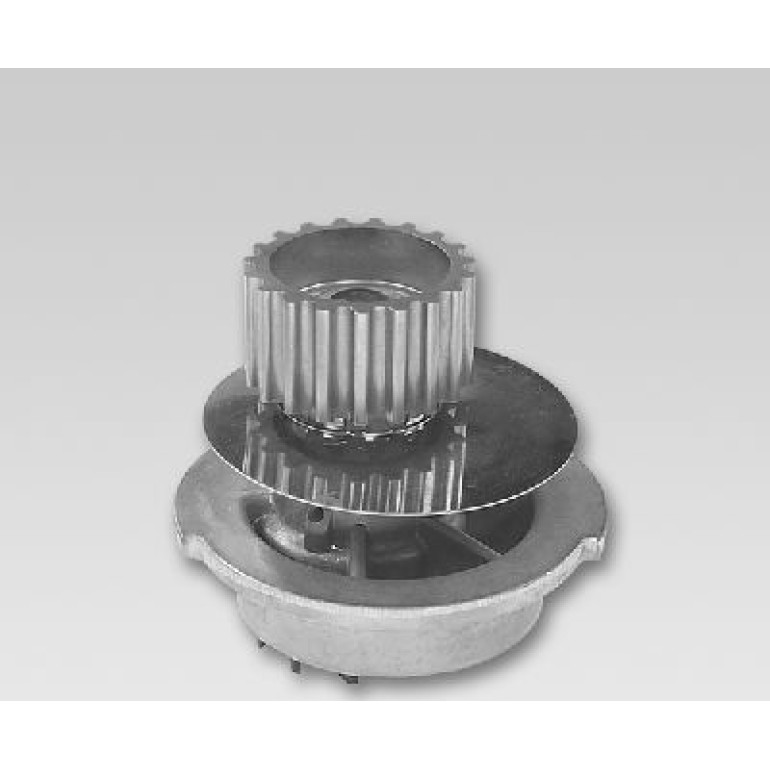 HEPU Wasserpumpe P793 HEPU Wasserpumpe P793