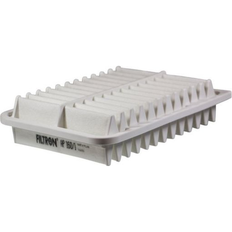 FILTRON Luftfilter AP 160/1