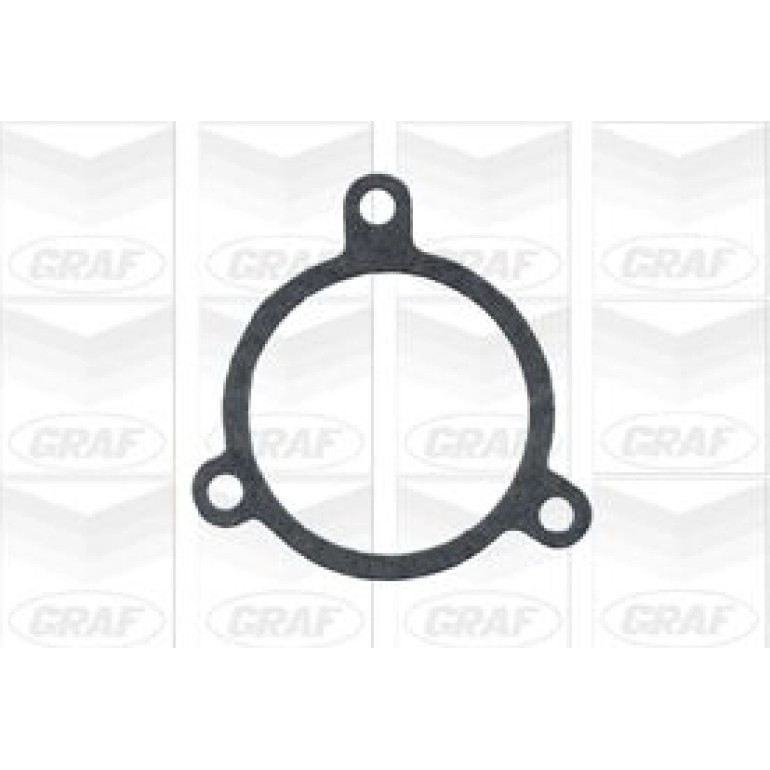 PA 243 Wasserpumpe PA243 PA 243 Wasserpumpe PA243