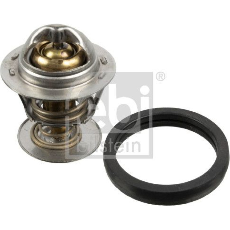 Thermostat, Kühlmittel 173096 Thermostat, Kühlmittel 173096