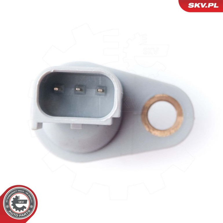 SKV GERMANY Positionssensor 17SKV260 SKV GERMANY Positionssensor 17SKV260