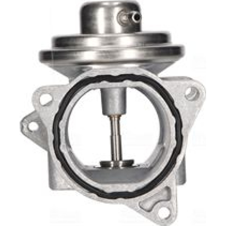 NISSENS Agr-Ventil 98173 NISSENS Agr-Ventil 98173