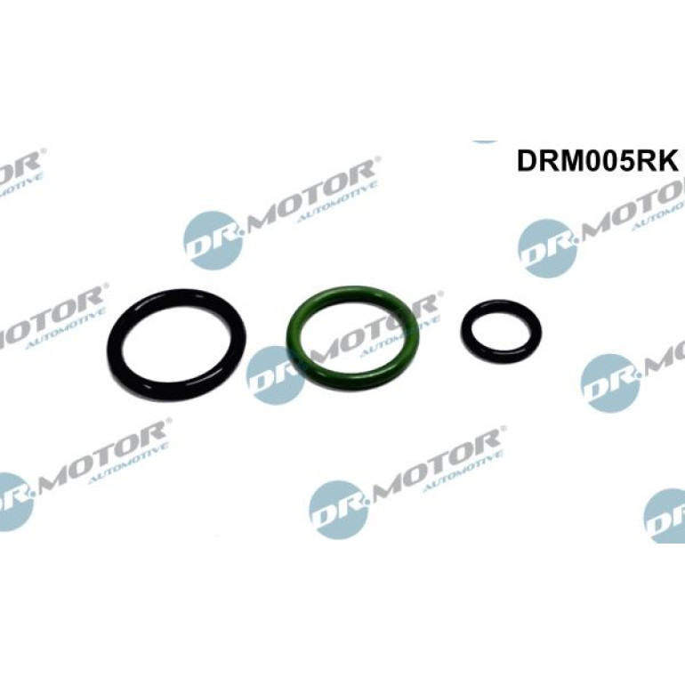 Reparatursatz, Pumpedüse Einheit DRM005RK Reparatursatz, Pumpedüse Einheit DRM005RK