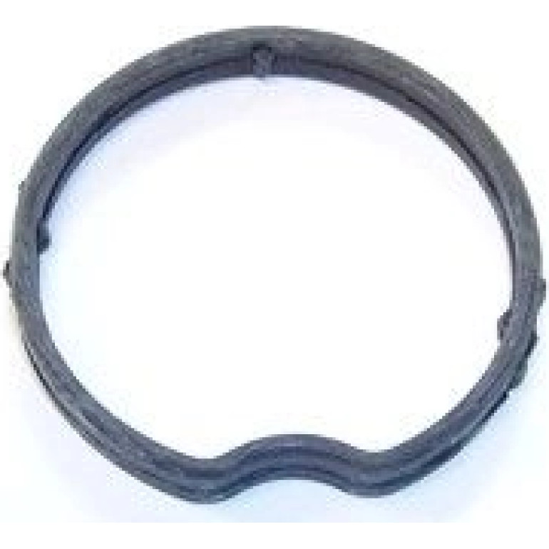 Dichtung, Thermostatgehäuse 027.440