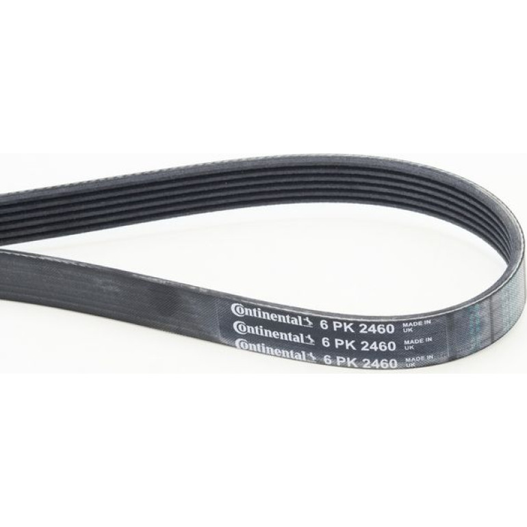 CONTINENTAL CTAM Keilrippenriemen 6PK2460 CONTINENTAL CTAM Keilrippenriemen 6PK2460