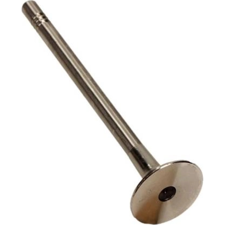 Auslaßventil R6691/R