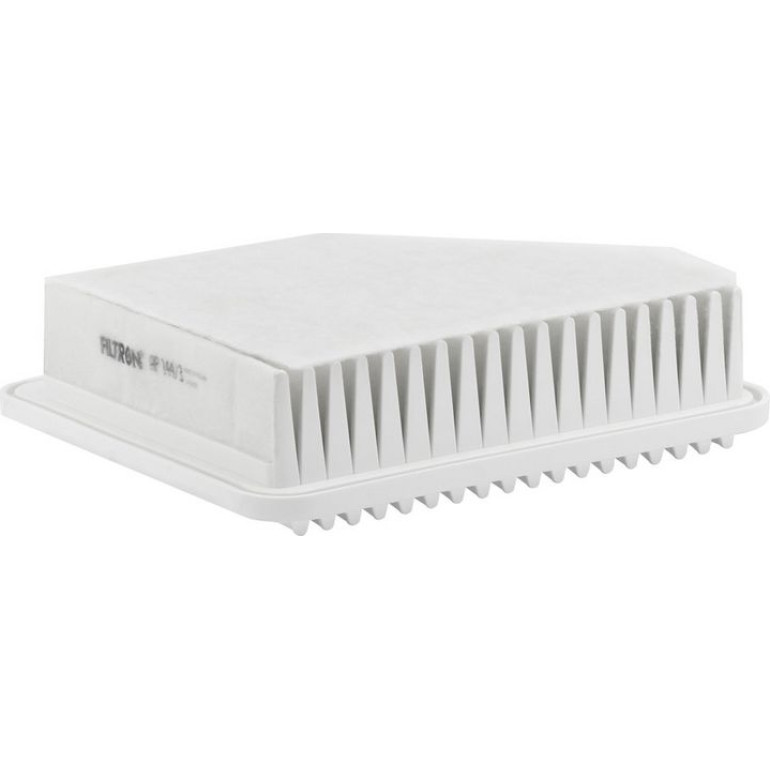 FILTRON Luftfilter AP 144/3