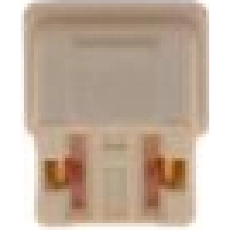 Sicherung 1987529051 Sicherung 1987529051