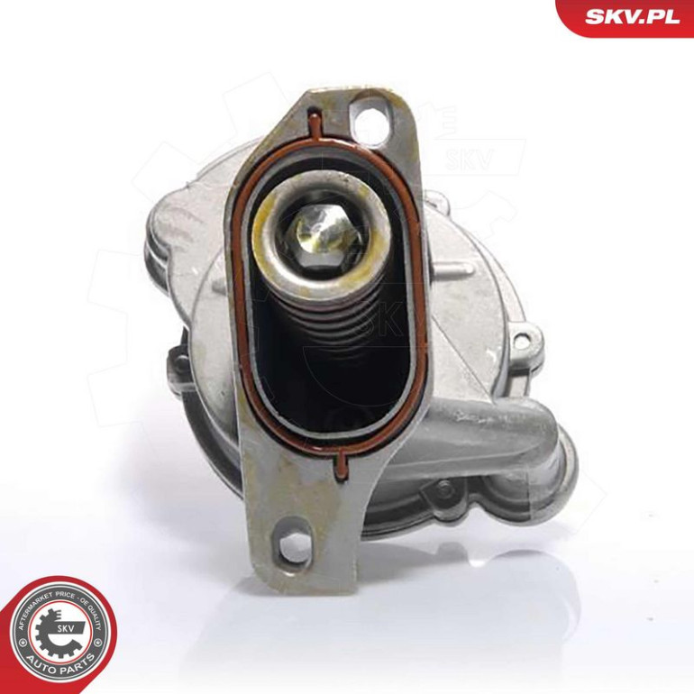 SKV GERMANY Vakuumpumpe 18SKV005 SKV GERMANY Vakuumpumpe 18SKV005