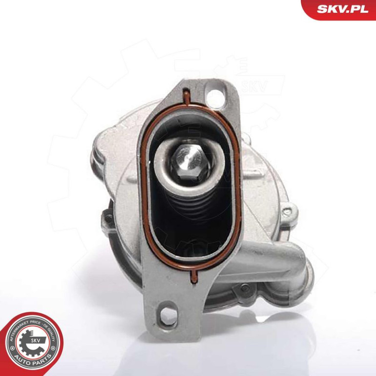 SKV GERMANY Vakuumpumpe 18SKV009 SKV GERMANY Vakuumpumpe 18SKV009