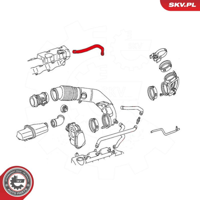 SKV GERMANY Ölschlauch 31SKV117 SKV GERMANY Ölschlauch 31SKV117