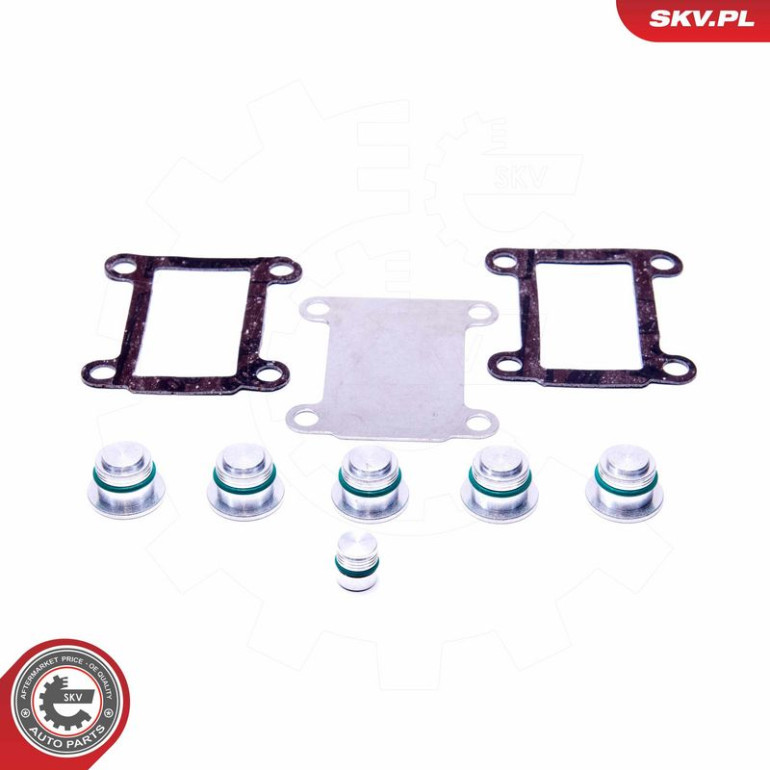 ESEN SKV Reparatursatz, Saugrohrmodul 49SKV526 ESEN SKV Reparatursatz, Saugrohrmodul 49SKV526