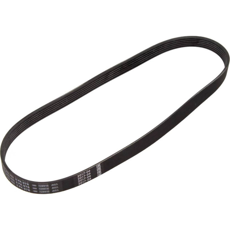 Keilrippenriemen 6Pk976 1987948486 Keilrippenriemen 6Pk976 1987948486