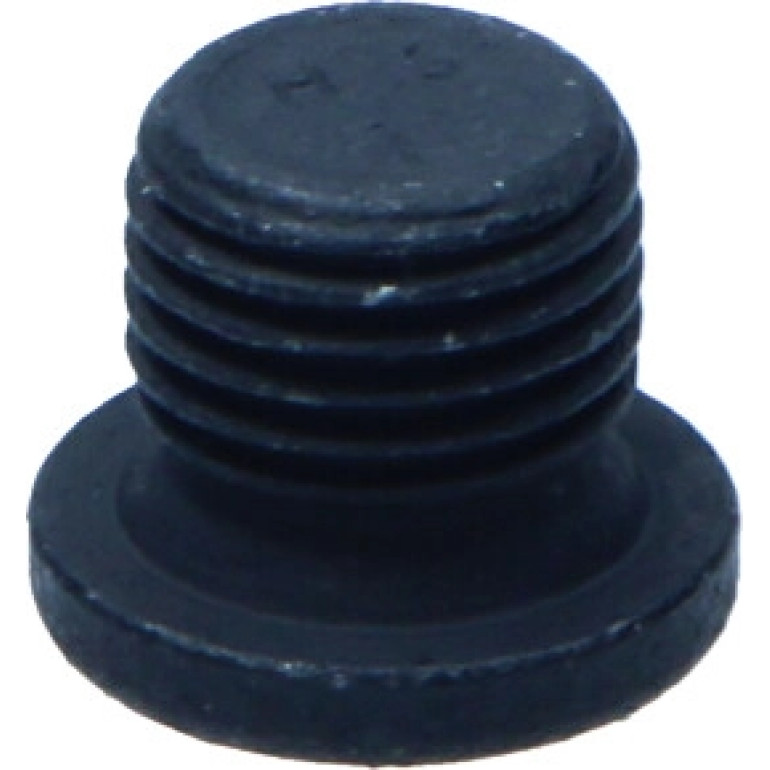 Original VAG Verschlussschraube Audi A4 3.0Tdi 04 N0160276