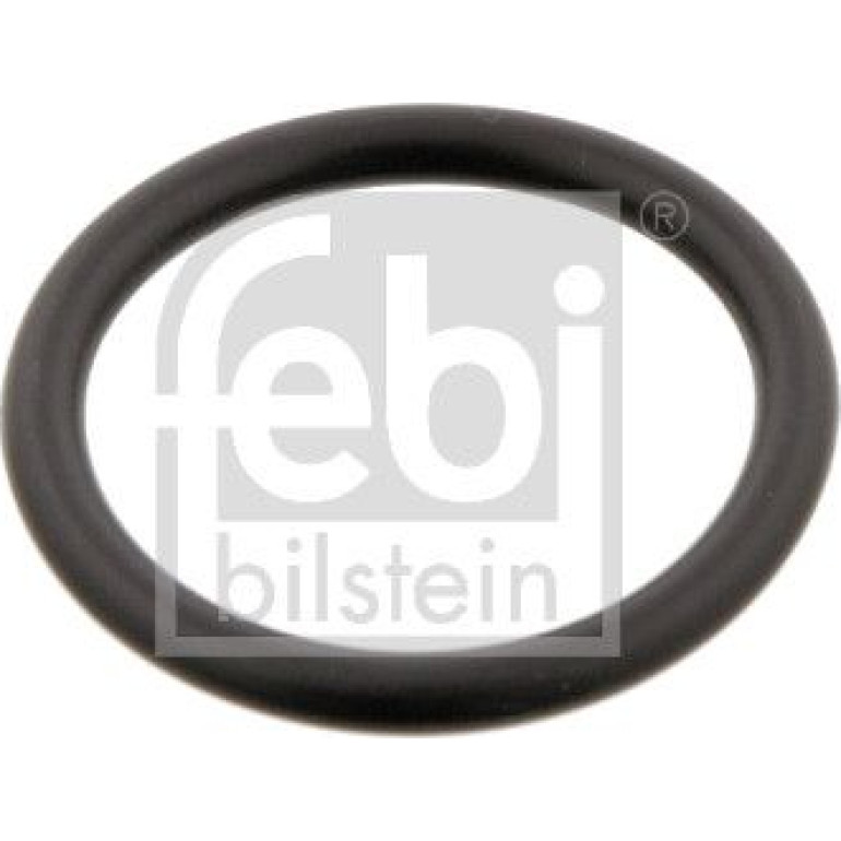 Dichtring, Kühlmittelrohrleitu 29752 Dichtring, Kühlmittelrohrleitu 29752