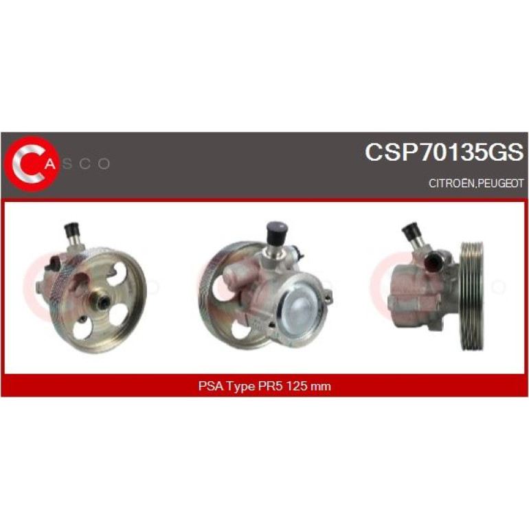 CASCO Hydraulikpumpe CSP70135GS CASCO Hydraulikpumpe CSP70135GS