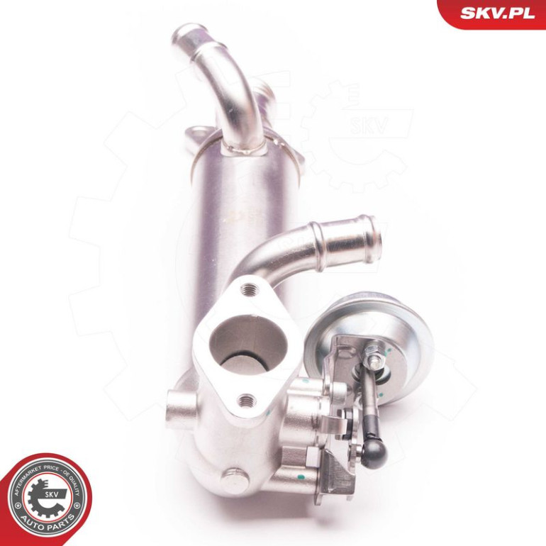 SKV GERMANY AGR-Ventil 14SKV119 SKV GERMANY AGR-Ventil 14SKV119