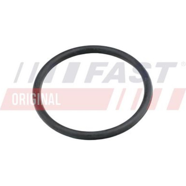 FAST Dichtung, Kühlmittelrohrleitung FT49920 FAST Dichtung, Kühlmittelrohrleitung FT49920